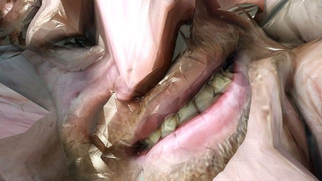 Bild und Ton bilden bei Aphex Twin eine Einheit.