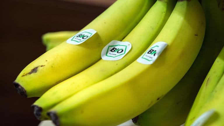 Bananen mit Biosiegel: Bioware ist in der Regel gekennzeichnet.