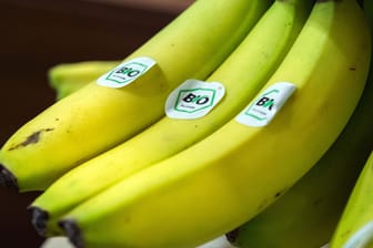 Bananen mit Biosiegel: Bioware ist in der Regel gekennzeichnet.
