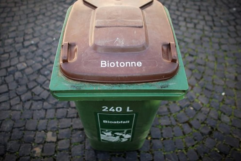 Neuartige Biokunststoff-Tüten werden nicht immer restlos biologisch abgebaut.