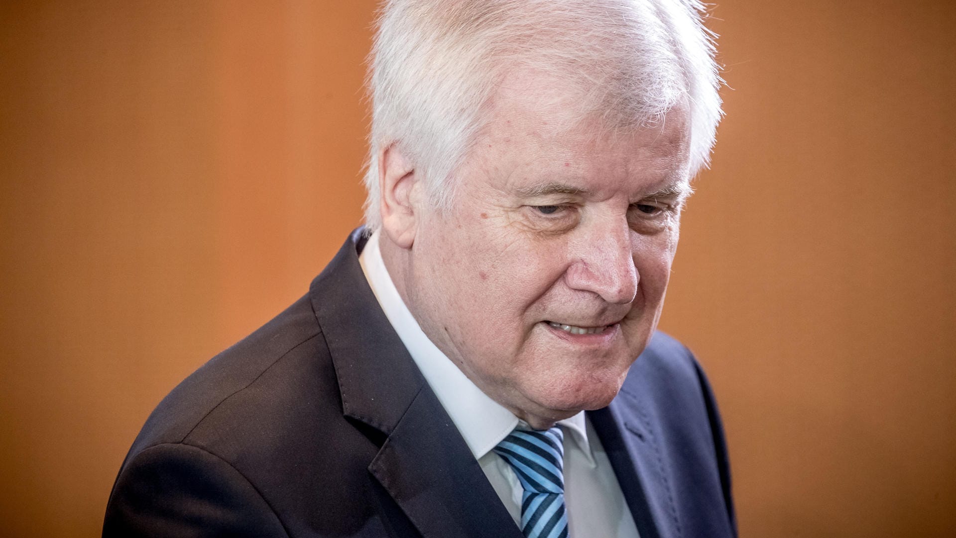 Innenminister Horst Seehofer: Die Künstler werfen ihm unter anderem vor, dass er das internationale Ansehen des Landes schädige.