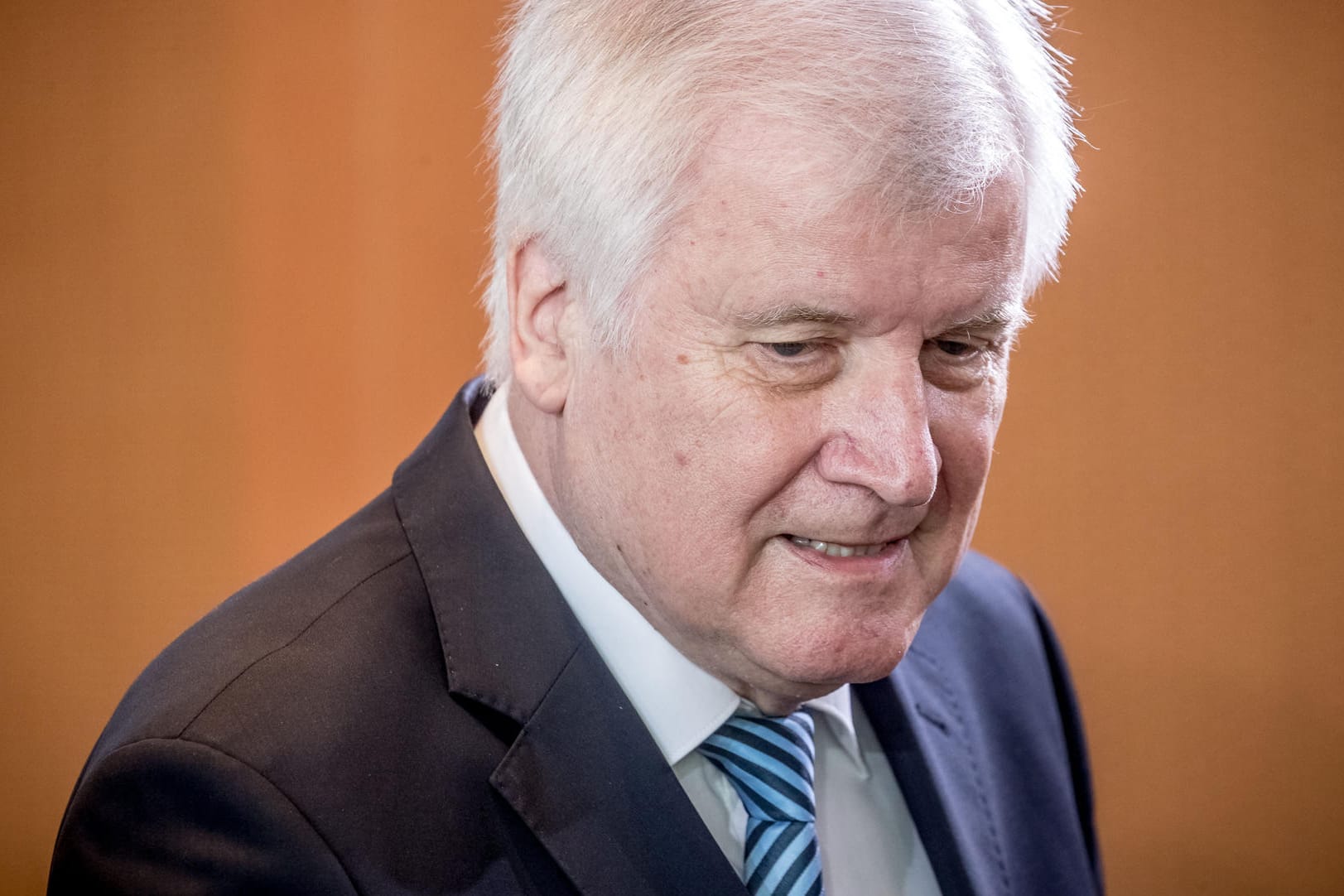 Innenminister Horst Seehofer: Die Künstler werfen ihm unter anderem vor, dass er das internationale Ansehen des Landes schädige.