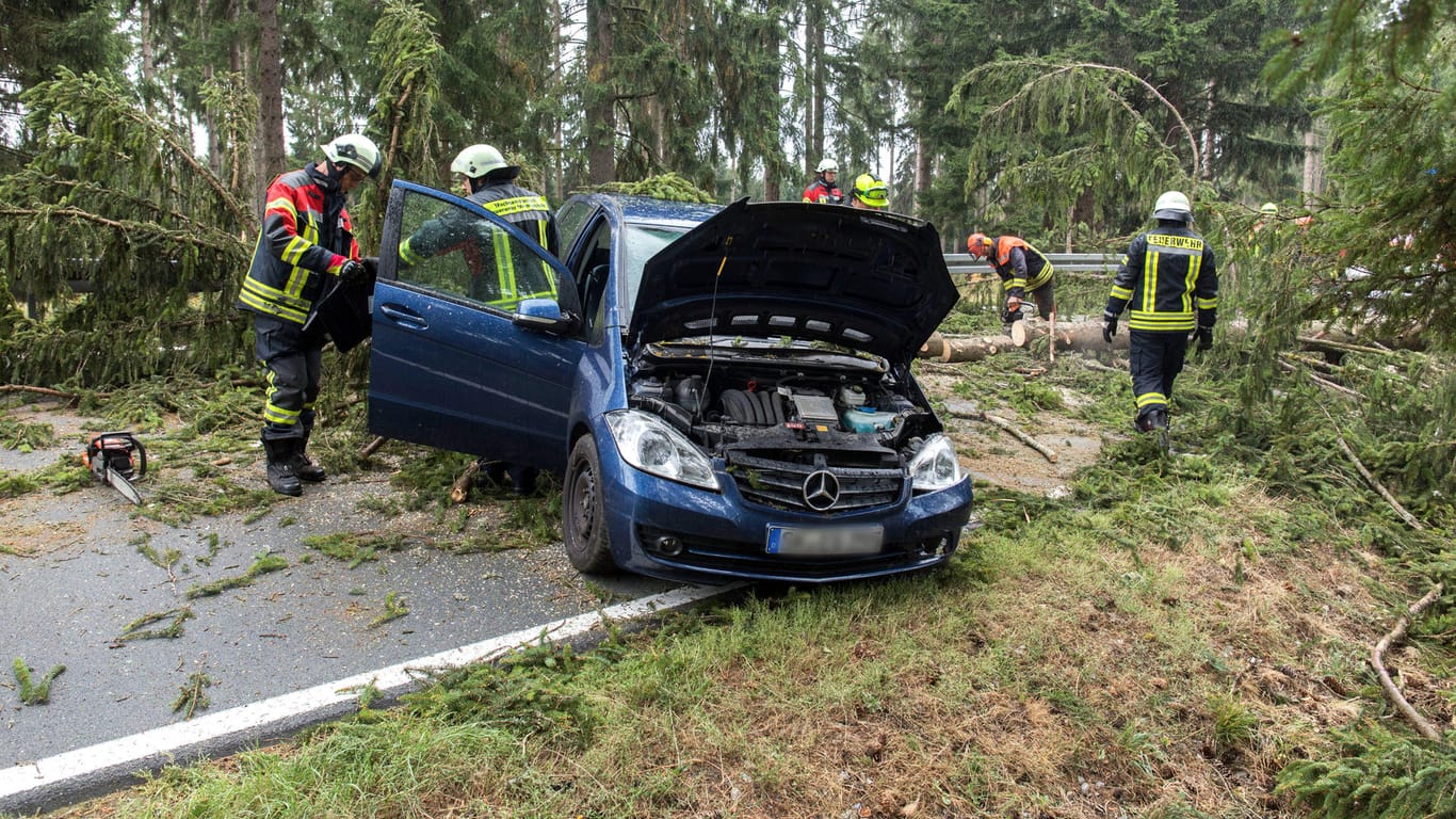 Sachsen-Anhalt: Ein Baum ist während das Sturmtiefs Elena auf ein Auto gefallen. Die Fahrerin blieb unverletzt.