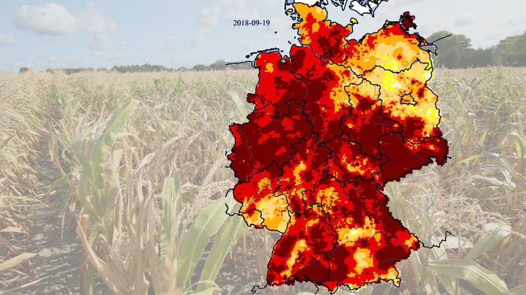 "Außergewöhnliche Dürre": Dürremonitor vom 19. September. Die Lage hat sich nach Ende der Hitze weiter verschärft, der Regen am Wochenende verbessert die Lage wenig.