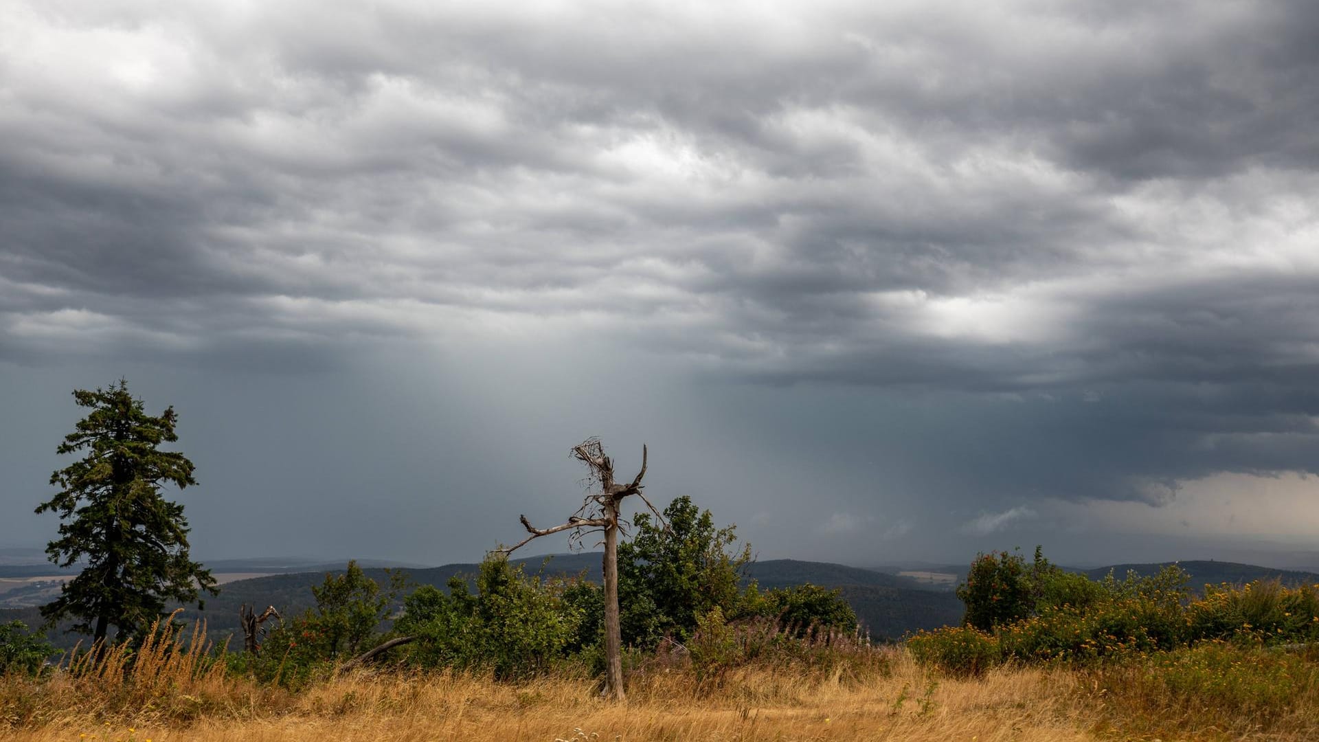 Dunkle Wolken am Himmel: Am Sonntagabend sind vereinzelte Gewitter möglich. (Symbolbild)