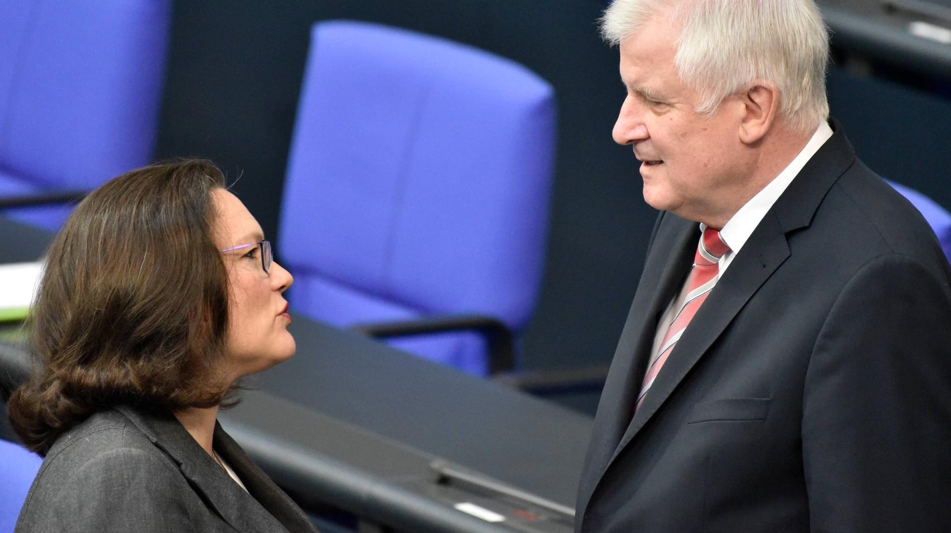 Andrea Nahles und Horst Seehofer: Die SPD-Chefin will die Regierung nicht wegen Hans-Georg Maaßen scheitern lassen.