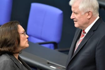 Andrea Nahles und Horst Seehofer: Die SPD-Chefin will die Regierung nicht wegen Hans-Georg Maaßen scheitern lassen.