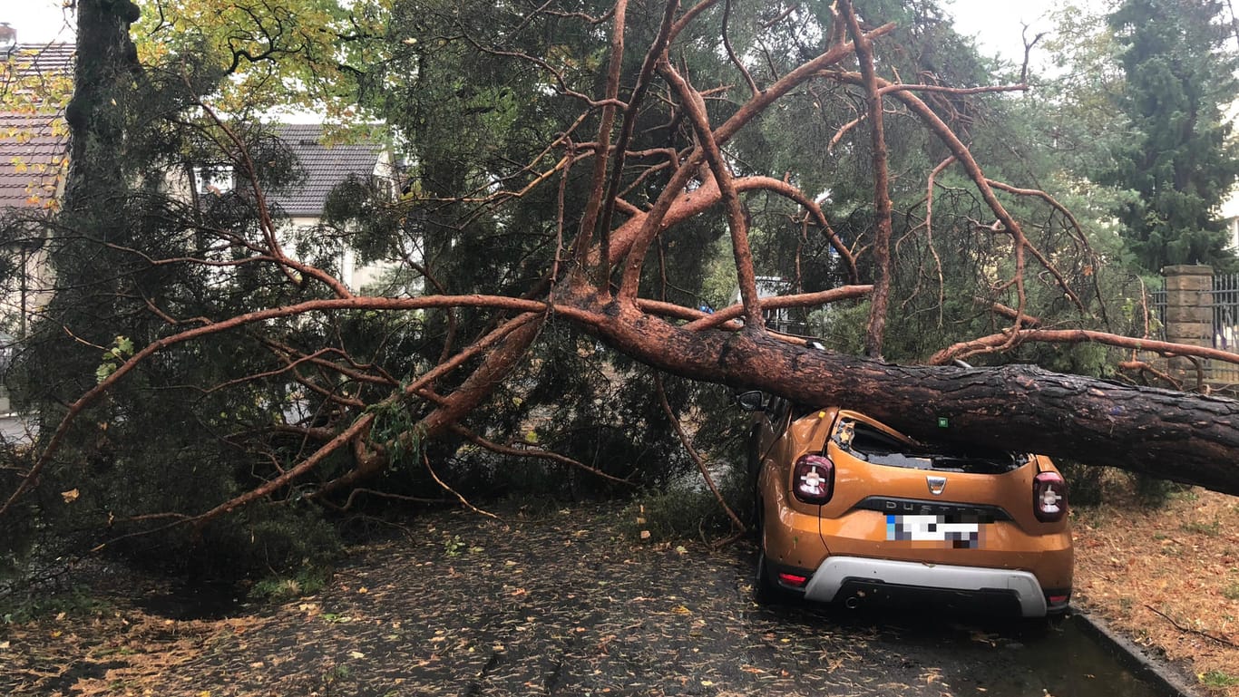 Sturm in Darmstadt: Heftiger Wind ließ Bäume auf die Straßen kippen.