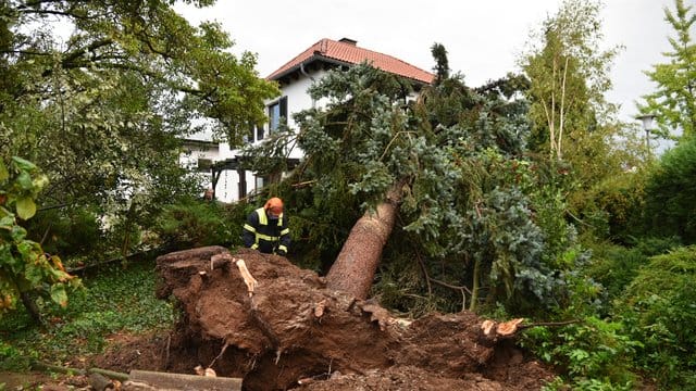 Ein Feuerwehrmann zersägt in Eppelheim einen Baum, der durch einen Sturm auf ein Haus gestürzt ist. Ein Feuerwehrmann zersägt in Eppelheim einen Baum, der durch einen Sturm auf ein Haus gestürzt ist.