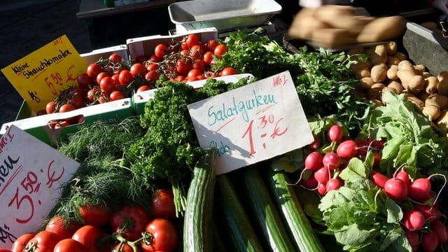 Salatgurken waren Anfang September so teuer wie lange nicht mehr.