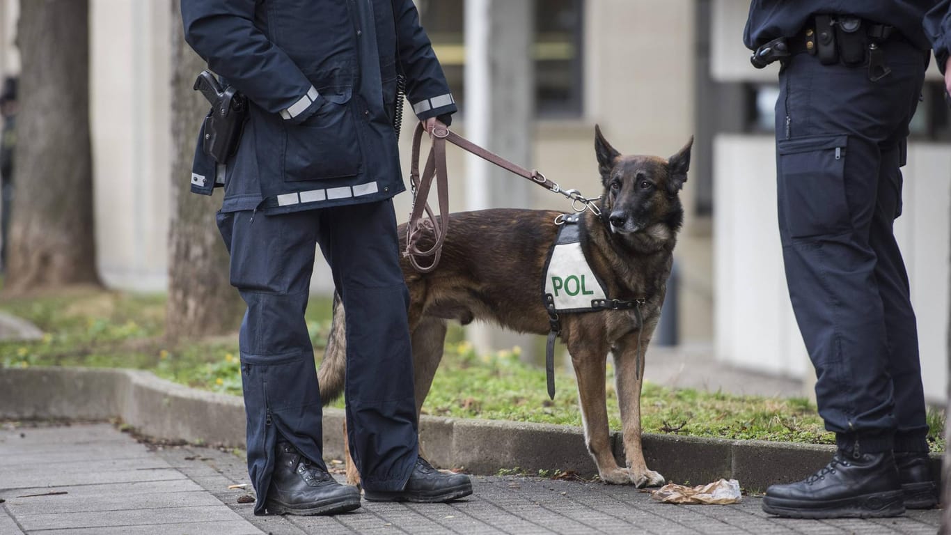 Zwei Polizisten und ihr Diensthund: In Kiel war der Polizeihund maßgeblich für die Fassung eines Mannes der Fahrerflucht begang.