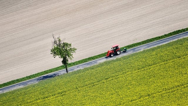 Ist ein Mehrzweckstreifen vorhanden, können Fahrzeuge mit besonderer Geschwindigkeitsbegrenzung darauf ausweichen, wenn Autos sie überholen wollen. Ist ein Mehrzweckstreifen vorhanden, können Fahrzeuge mit besonderer Geschwindigkeitsbegrenzung darauf ausweichen, wenn Autos sie überholen wollen.