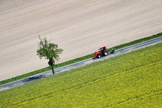 Ist ein Mehrzweckstreifen vorhanden, können Fahrzeuge mit besonderer Geschwindigkeitsbegrenzung darauf ausweichen, wenn Autos sie überholen wollen.