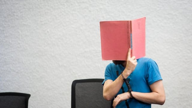 Der 21-jährige ist wegen sexuellen Missbrauchs von Kleinkindern angeklagt. Der 21-jährige ist wegen sexuellen Missbrauchs von Kleinkindern angeklagt.