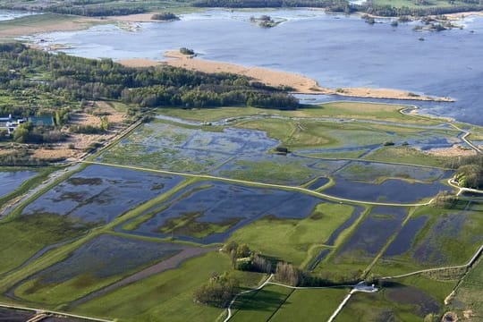 Ein Teil des Naturschutzgebietes Oset-Rynningeviken in Schweden.