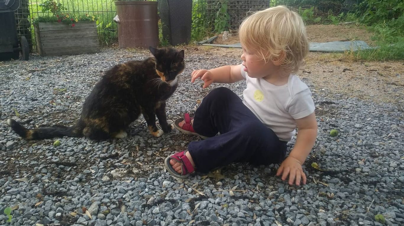 Josefine und Katze Moesje: Im Juli nahmen die Evers diese streunende Katze bei sich auf.