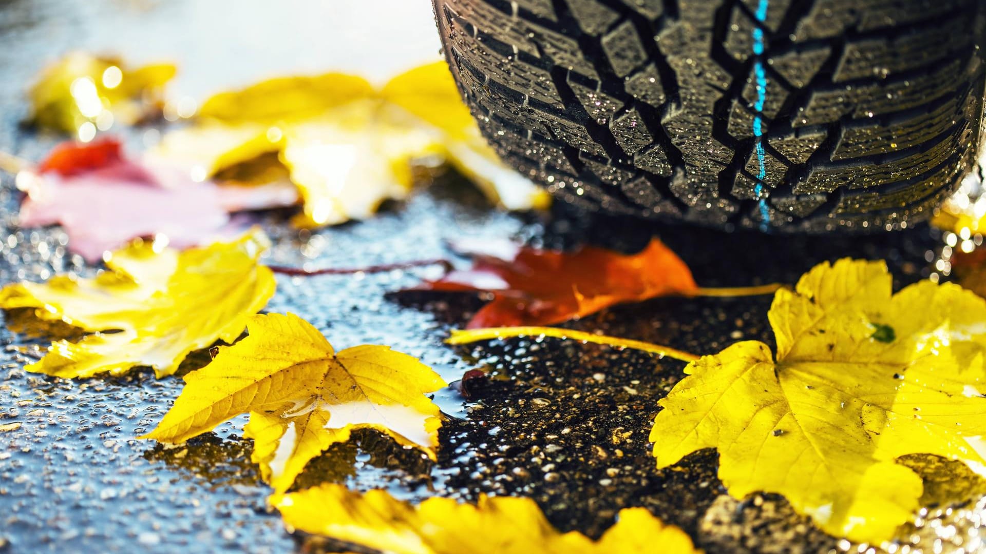 Zeit zum Wechseln: Schon im Herbst sind Winterreifen den Sommerreifen klar überlegen.