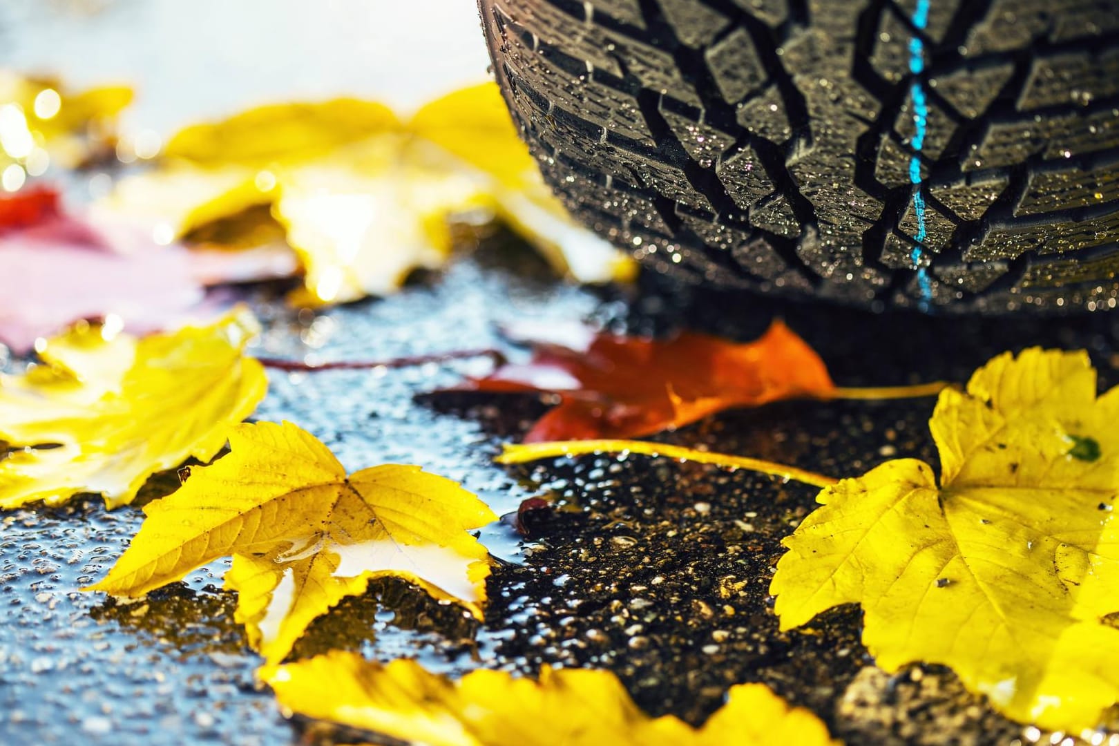 Zeit zum Wechseln: Schon im Herbst sind Winterreifen den Sommerreifen klar überlegen.