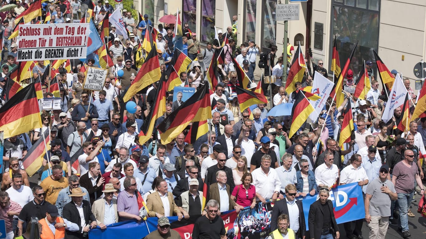 Anhänger der AfD demonstrieren in Berlin: Von der Unzufriedenheit mit der aktuellen Politik profitiert in Deutschland vor allem die AfD.
