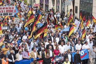 Anhänger der AfD demonstrieren in Berlin: Von der Unzufriedenheit mit der aktuellen Politik profitiert in Deutschland vor allem die AfD.