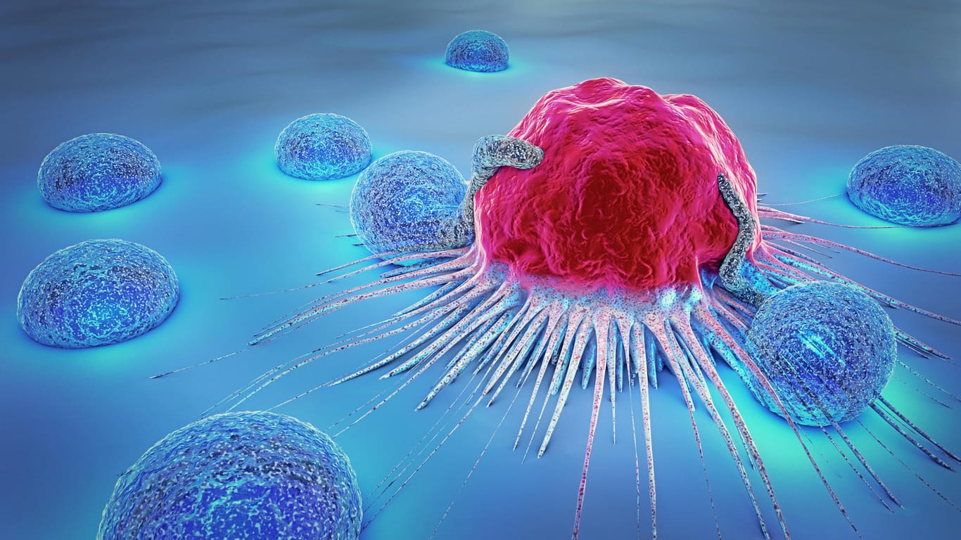 3D-Illustration einer Krebszelle und Lyphozyten
