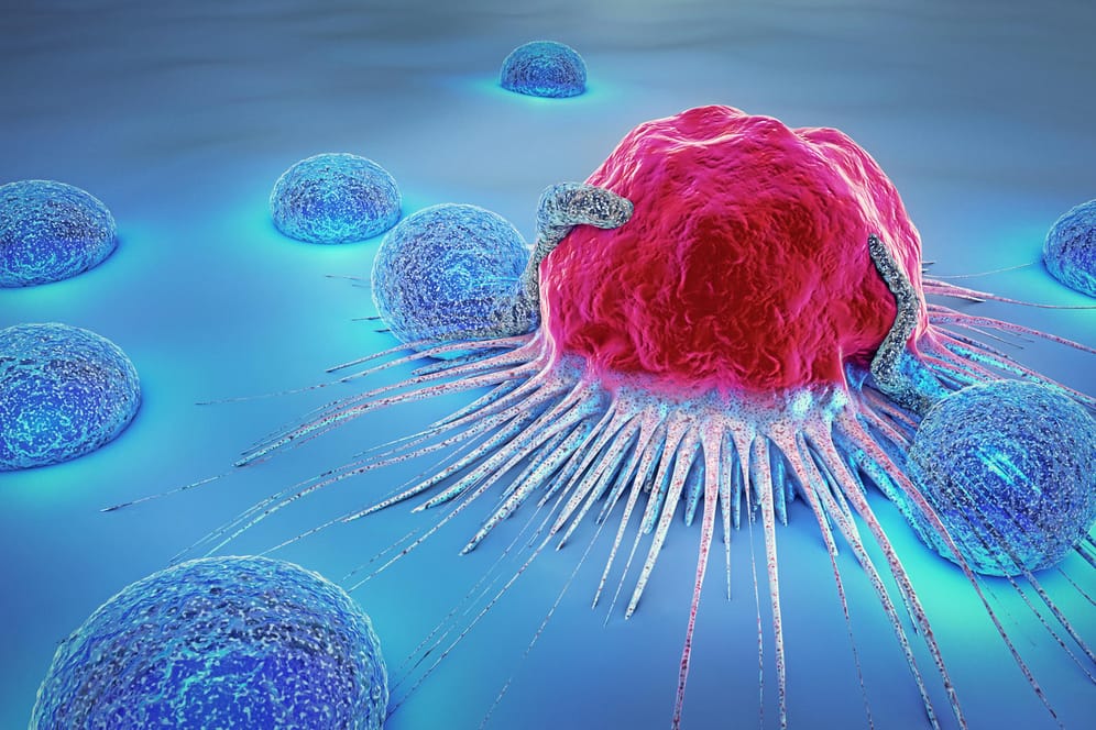 3D-Illustration einer Krebszelle und Lyphozyten