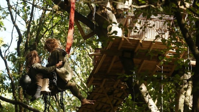 Im Hambacher Forst entstehen offenbar reihenweise neue Baumhäuser.