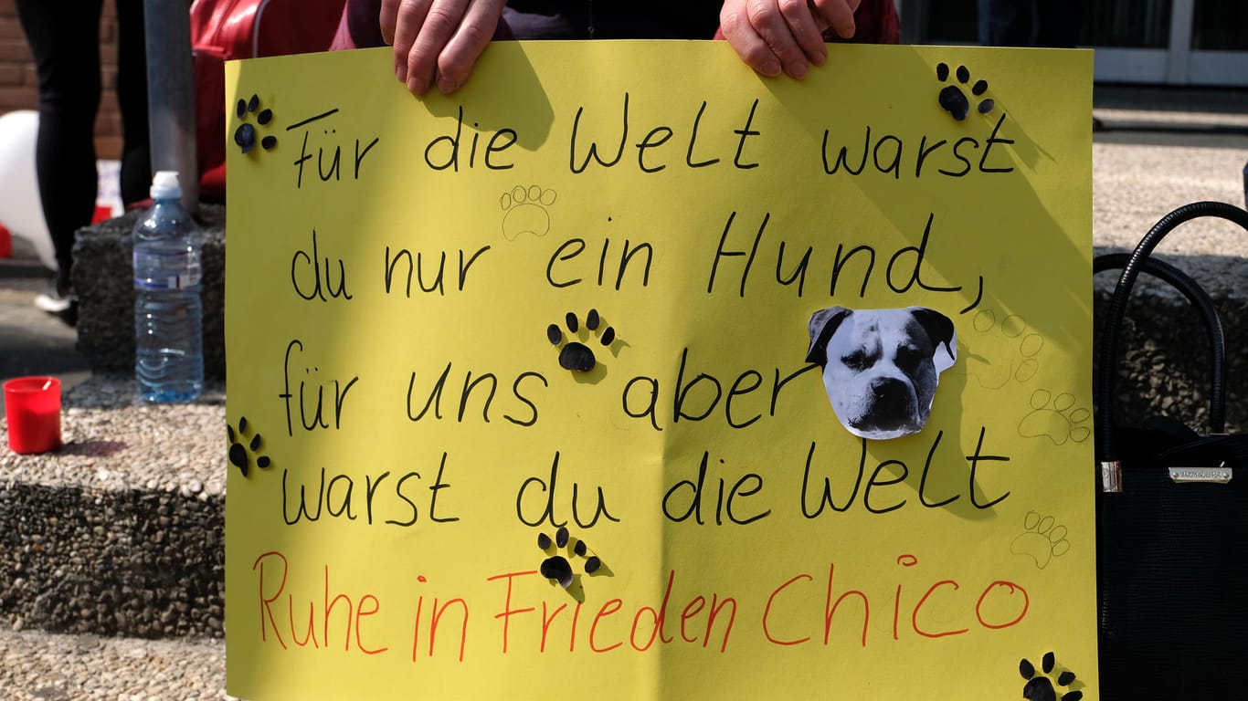 Trauerplakat: Für den eingeschläferten Hund Chico gingen die Menschen auf die Straße.