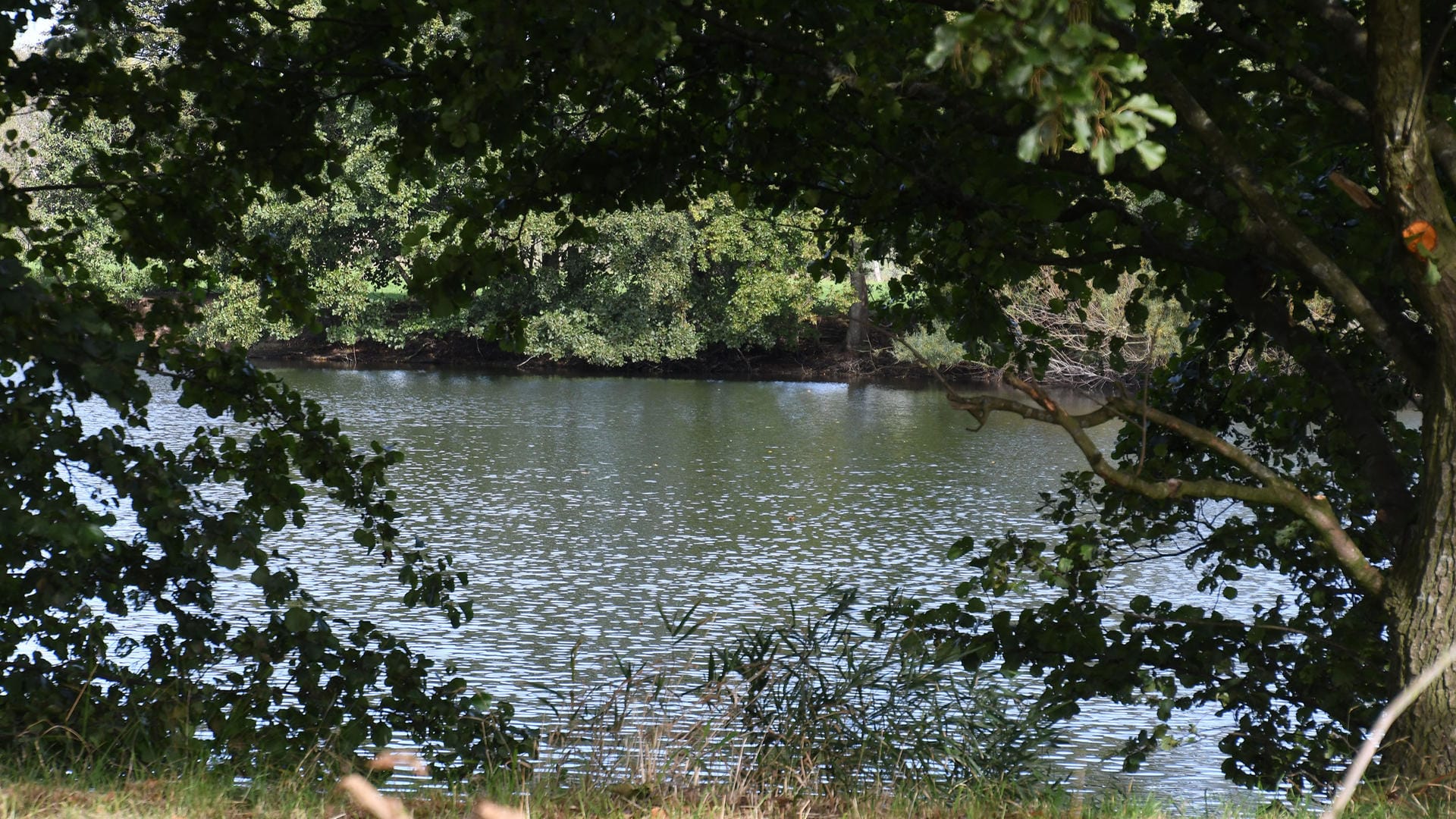 Bunt schimmern Blätter an Bäumen, die um den Tietjensee wachsen: Die Polizei lässt den See auf der Suche nach der Leiche einer jungen Frau leerpumpen, die vor 25 Jahren in Bremen verschwand. Bunt schimmern Blätter an Bäumen, die um den Tietjensee wachsen: Die Polizei lässt den See auf der Suche nach der Leiche einer jungen Frau leerpumpen, die vor 25 Jahren in Bremen verschwand.