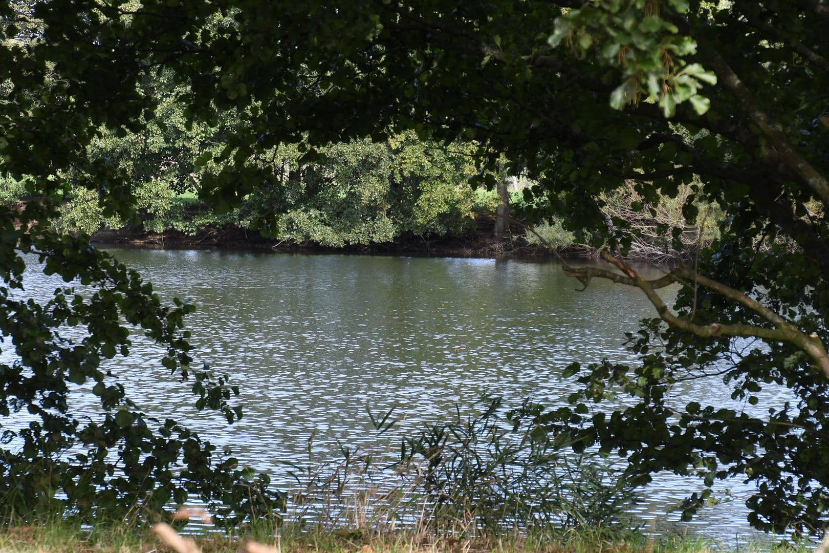 Bunt schimmern Blätter an Bäumen, die um den Tietjensee wachsen: Die Polizei lässt den See auf der Suche nach der Leiche einer jungen Frau leerpumpen, die vor 25 Jahren in Bremen verschwand.