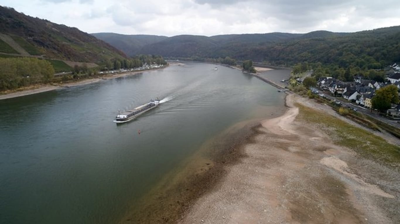 Der Rhein bei Osterspai in Rheinland-Pfalz: Wegen des Niedrigwassers können Frachtschiffe derzeit maximal die Hälfte ihrer üblichen Ladung aufnehmen.