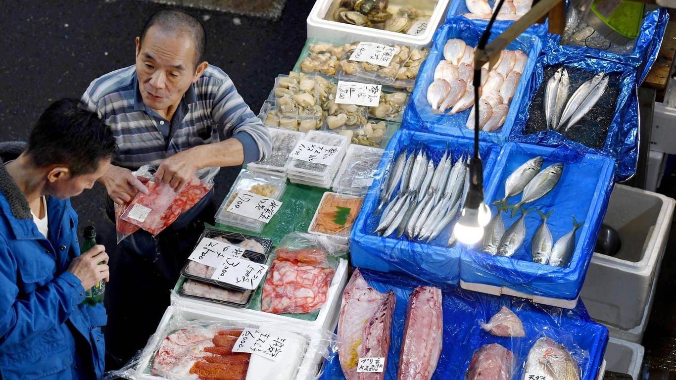 Tsukiji Fischmarkt kurz vor dem Umzug: Ein Problem sind zehntausende Ratten in der Kanalisation.