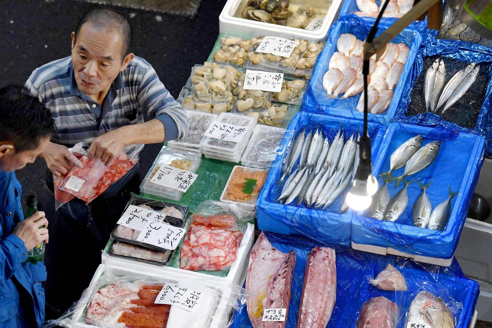 Tsukiji Fischmarkt kurz vor dem Umzug: Ein Problem sind zehntausende Ratten in der Kanalisation.