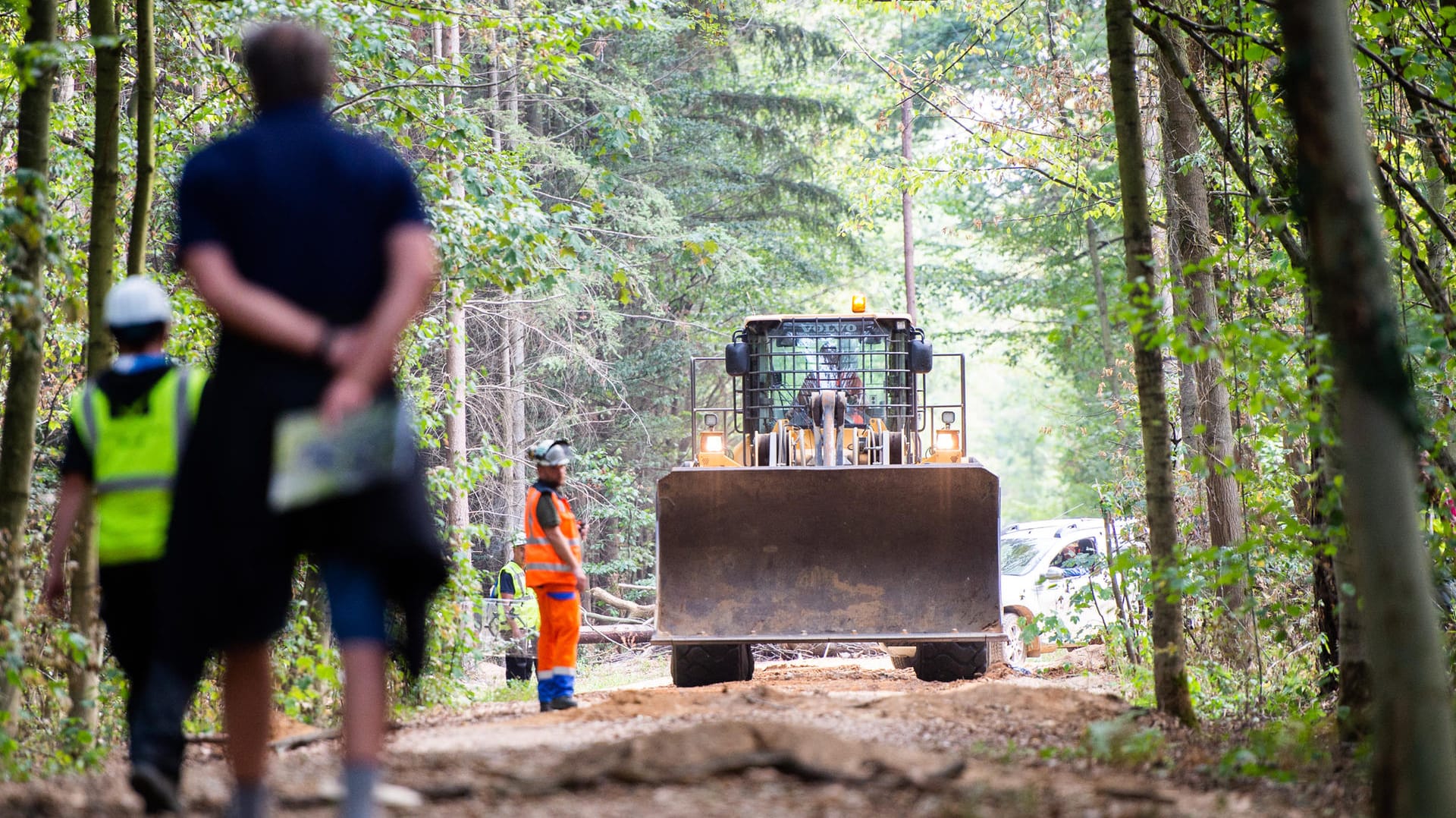 Rodung vorerst gestoppt: Ein Bagger des Energiekonzerns RWE fährt durch den Hambacher Forst.