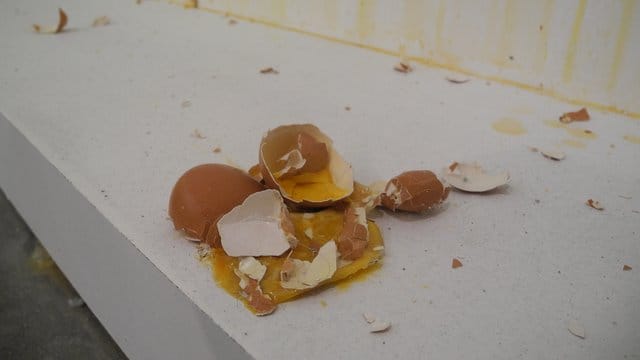 Eierschalen kleben an der Wand und am Boden als Teil der Ausstellung "Au Naturel" der Künstlerin Sarah Lucas. Eierschalen kleben an der Wand und am Boden als Teil der Ausstellung "Au Naturel" der Künstlerin Sarah Lucas.