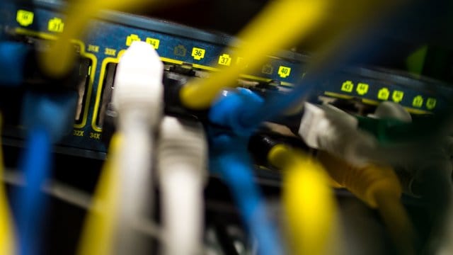 Netzwerkkabel in einem Serverraum.
