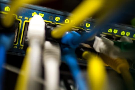 Netzwerkkabel in einem Serverraum.