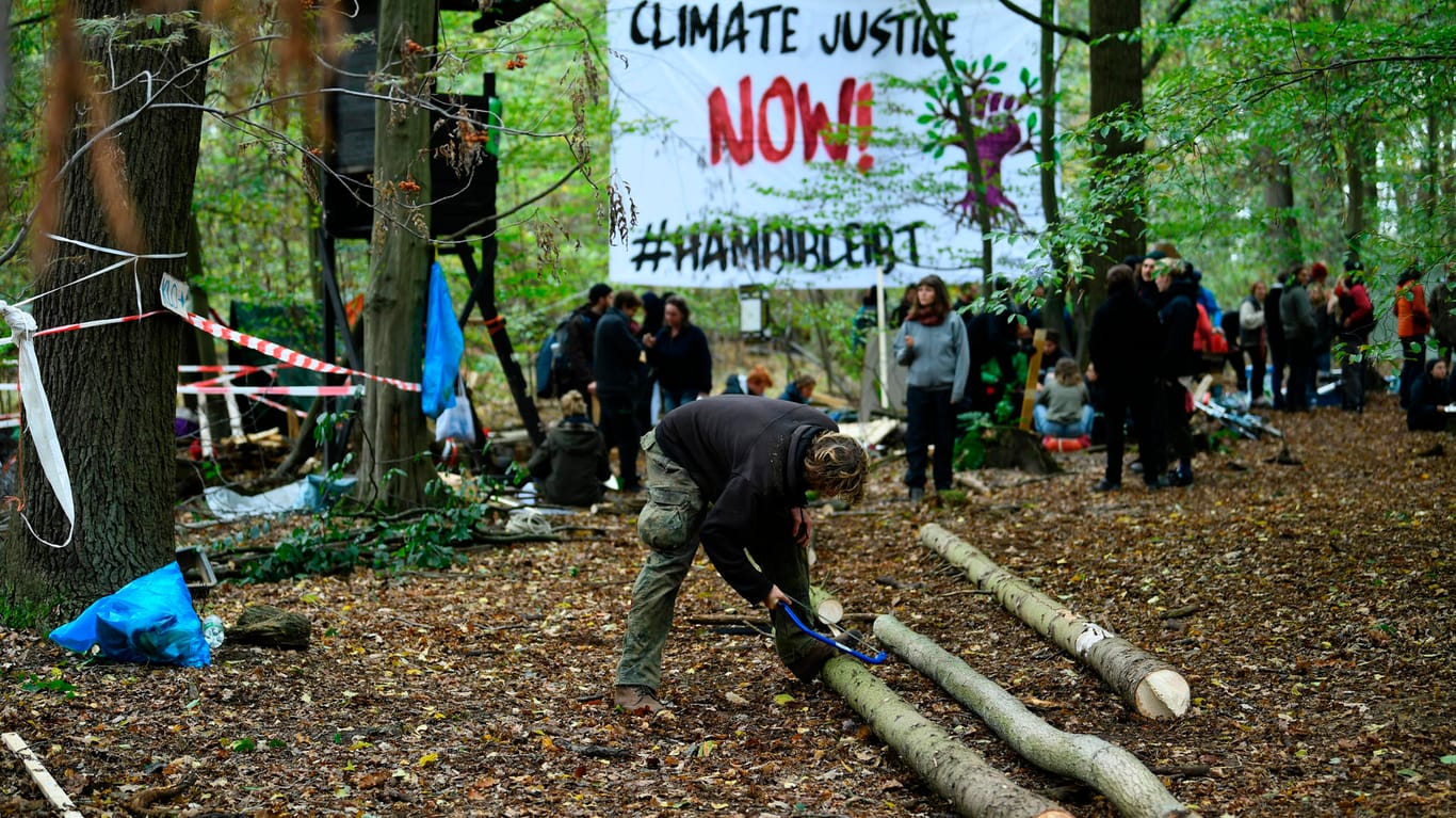 Aktivisten im Hambacher Forst: Die Umweltschützer haben mit dem Bau neuer Baumhäuser begonnen.