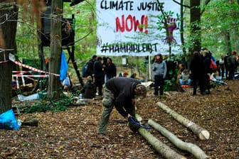 Aktivisten im Hambacher Forst: Die Umweltschützer haben mit dem Bau neuer Baumhäuser begonnen.