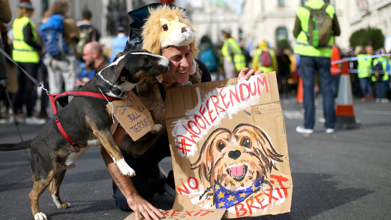 Ein Hund leckt seinem Herrchen das Gesicht: Hunde haben mit ihren Herrchen in London gegen den Brexit demonstriert.