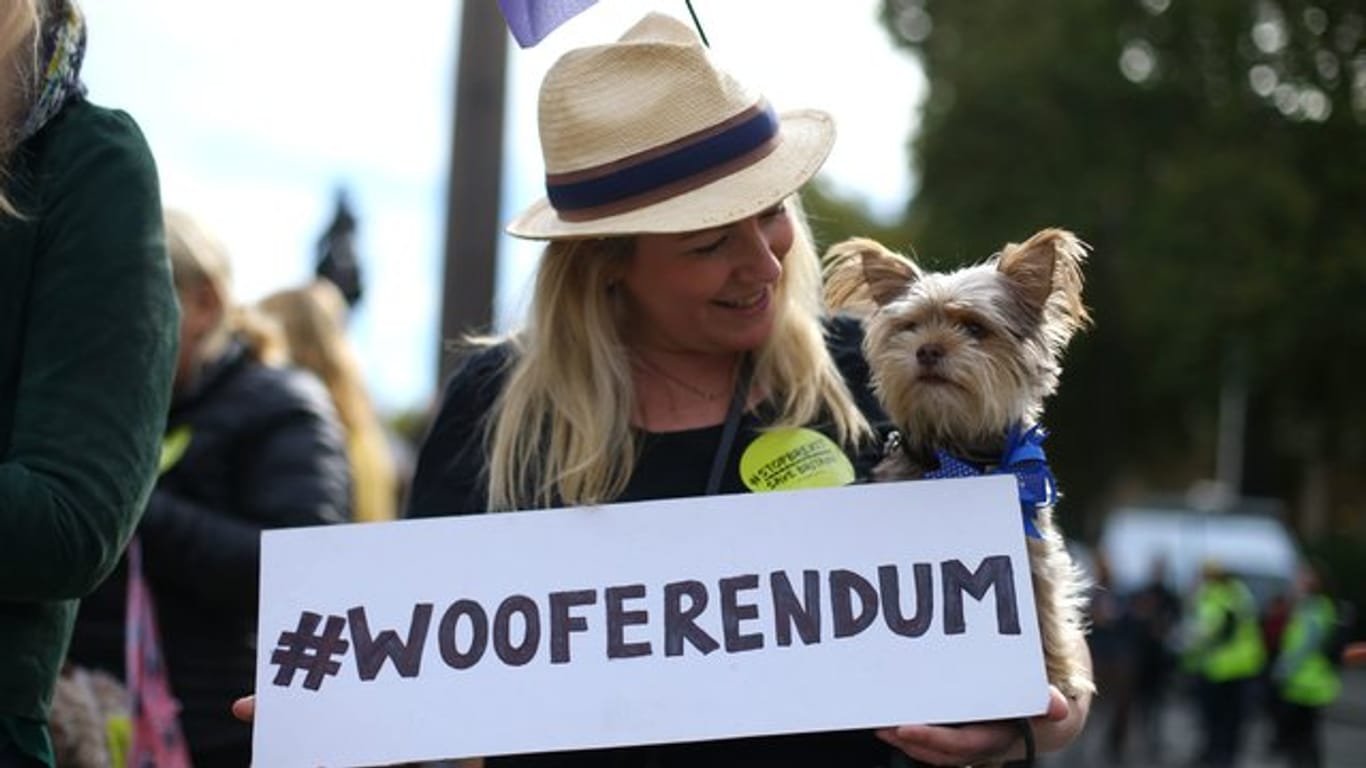 Woof, woof: Humorvoller Protest gegen den Brexit in London.
