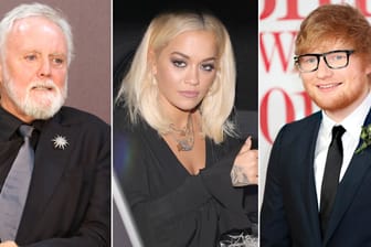 Roger Taylor, Rita Ora und Ed Sheeran: Zahlreiche Popstars rufen die britische Premierministerin zu einem zweiten Brexit-Referendum aus.