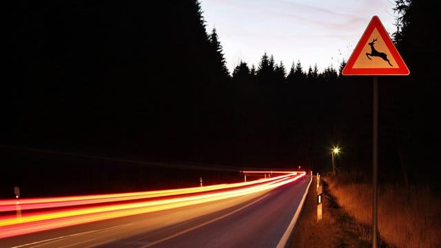 Können akustische Signale Wildtiere von der Straße abhalten? Verkehrsexperten wollen dies nun mit einem Pilotprojekt herausfinden. Können akustische Signale Wildtiere von der Straße abhalten? Verkehrsexperten wollen dies nun mit einem Pilotprojekt herausfinden.