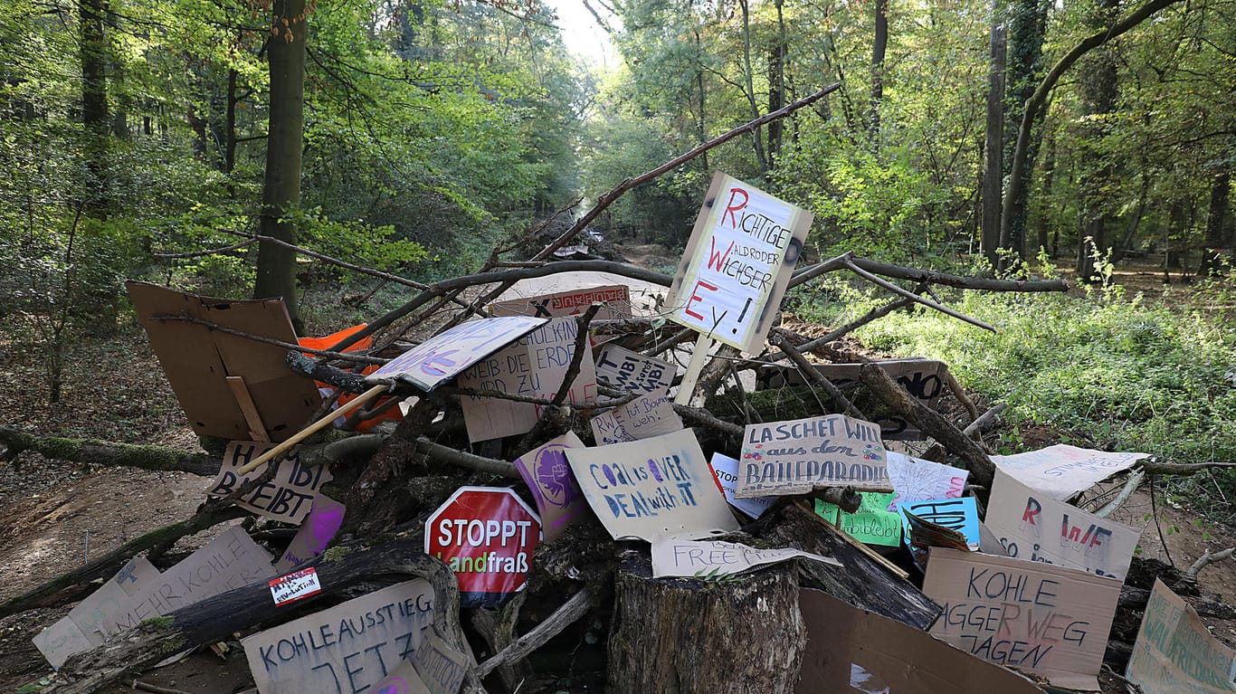 Plakate im Hambacher Forst: Nach dem Abzug der Polizei sind zahlreiche Aktivisten in den Wald zurückgekehrt.