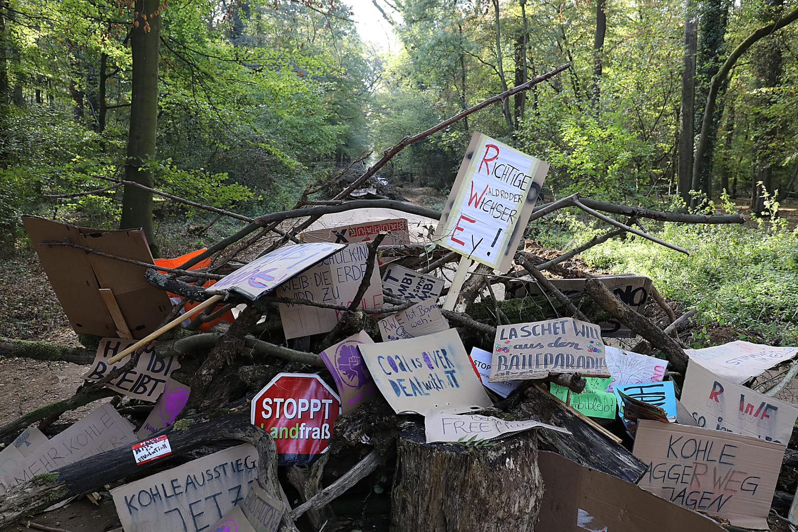 Plakate im Hambacher Forst: Nach dem Abzug der Polizei sind zahlreiche Aktivisten in den Wald zurückgekehrt.