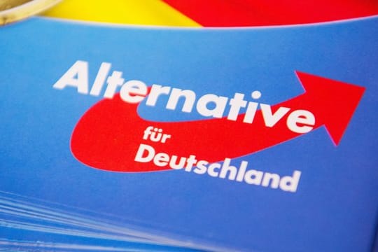 Die AfD will in mehreren Bundesländern Meldeplattformen gegen Lehrkräfte einrichten, die gegen das Neutralitätsgebot verstoßen und sich kritisch über die Partei äußern.