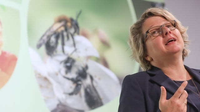Bundesumweltministerin Svenja Schulze (SPD) stellt Vorschläge für ein "Aktionsprogramm Insektenschutz" vor. Bundesumweltministerin Svenja Schulze (SPD) stellt Vorschläge für ein "Aktionsprogramm Insektenschutz" vor.