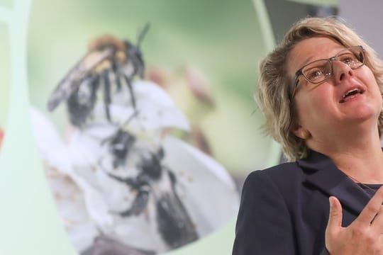 Bundesumweltministerin Svenja Schulze (SPD) stellt Vorschläge für ein "Aktionsprogramm Insektenschutz" vor.