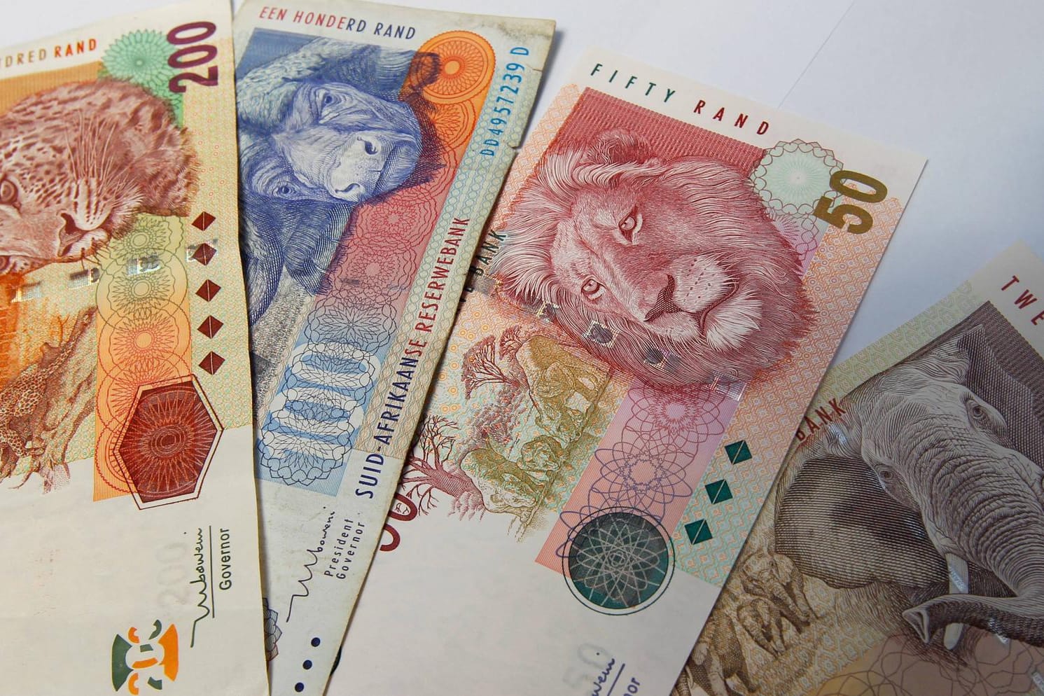 Geldscheine in der südafrikanischen Währung Rand: Etwa 1,9 Milliarden Rand (112 Millionen Euro) wurden der Genossenschaftsbank VBS entwendet.