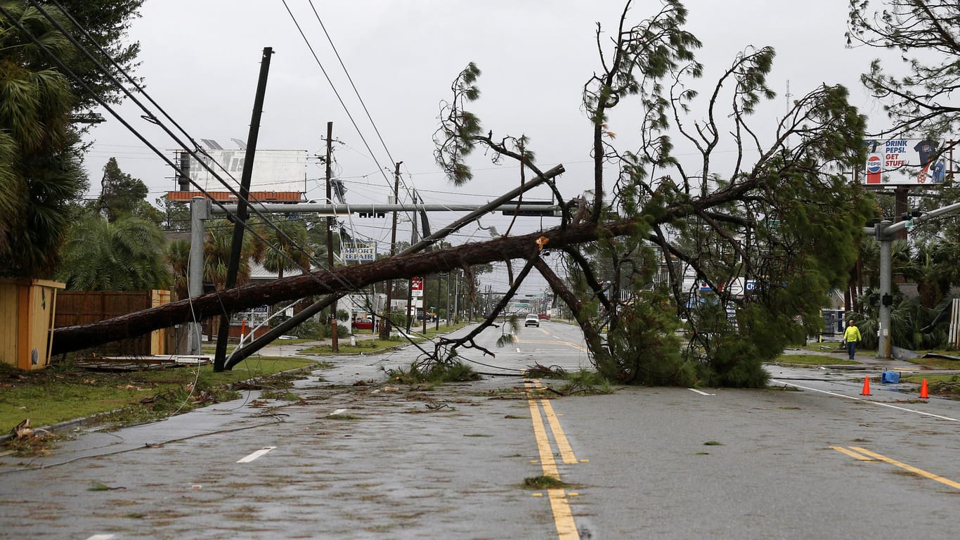 Ein umgestürzter Baum in Florida: Der Hurrikan war kurz vor seinem Eintreffen an der Küste von Florida in die zweithöchste Kategorie vier hochgestuft worden.